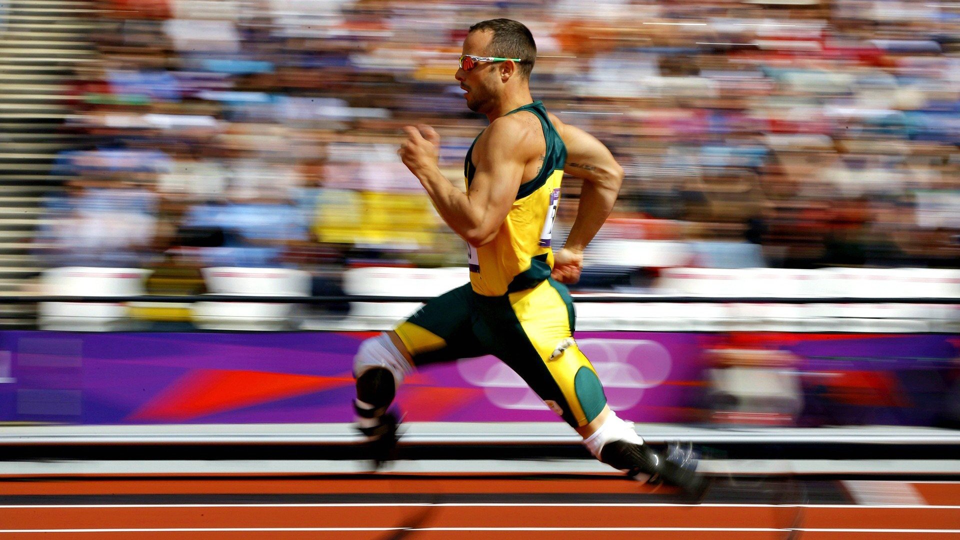 克罗地亚马术协会与科技公司合作,开发虚拟现实训练平台,提升骑手技能。